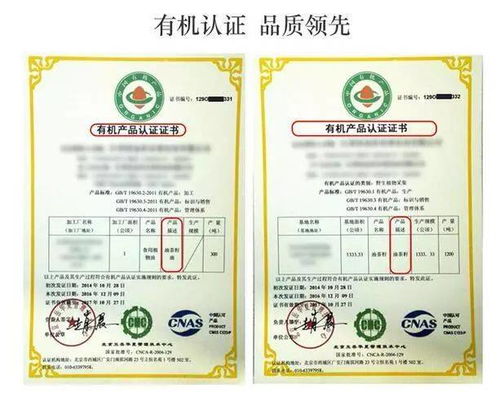 茶油果收购指南：优质茶油价格一览表