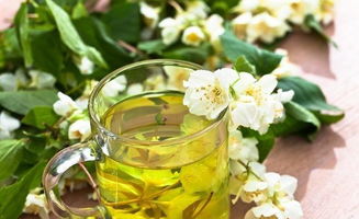 茉莉花茶适合哪些人喝？不同人群喝茉莉花茶有哪些独特效果