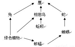 一、 了解花木习性，科学管理