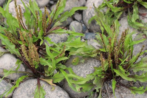 打破时间差， 收获梗多