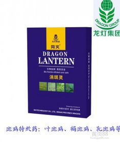 香蕉叶斑病的烦恼， 防治新招式大揭秘