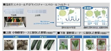 有机菠萝莓保鲜需采取低温、低氧、湿度控制等综合措施