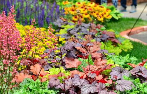 光照调控的魔法：光照时间的艺术