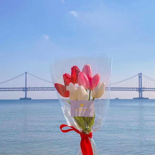 种子特工：乘风破浪的传播者