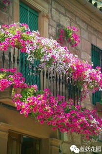 庭院花园布置技巧