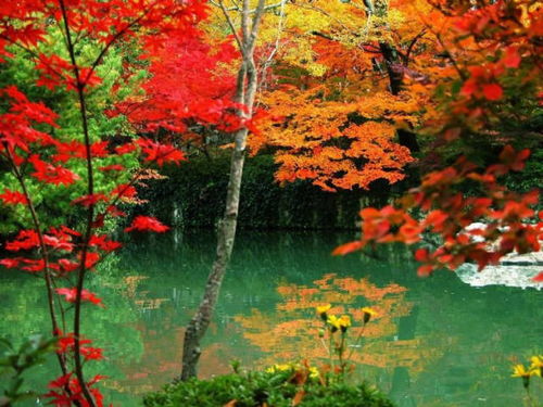 四季的沉稳之美