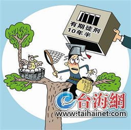 非法捕鹰近40只，首犯获刑10年