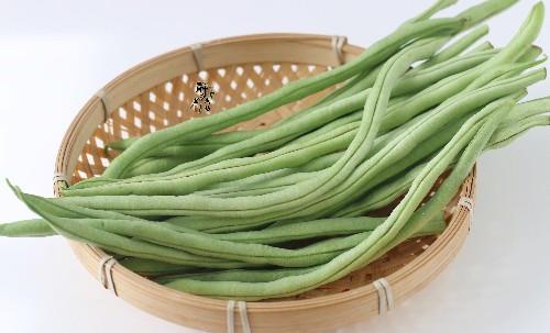 豆角黄叶速效救星，一招解决难题！