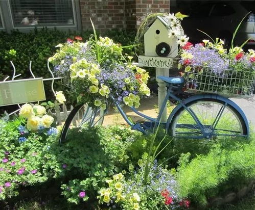 小区花圃， 花儿的家