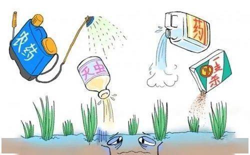 山东农药厂案例：经济损失高达80万元