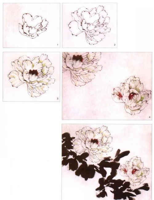 “掌握线条与墨色，如何轻松绘牡丹