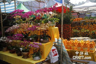 石家庄市花市树品种有哪些？石家庄花卉种植推荐中包含哪些品种