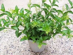 不同接触方式的反应对比