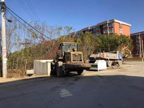 郑州万亩苗木市场， 基地直发