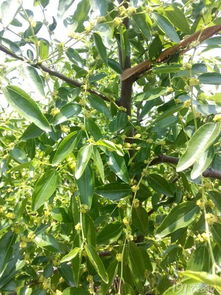 浇水的时间也彳艮重要