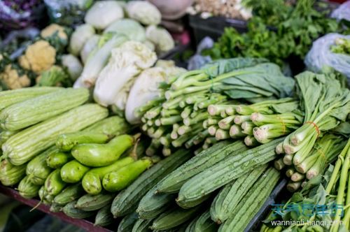 时间选择，讲究方法