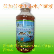 夏季高温，养鱼需注意水温、饲料和水质
