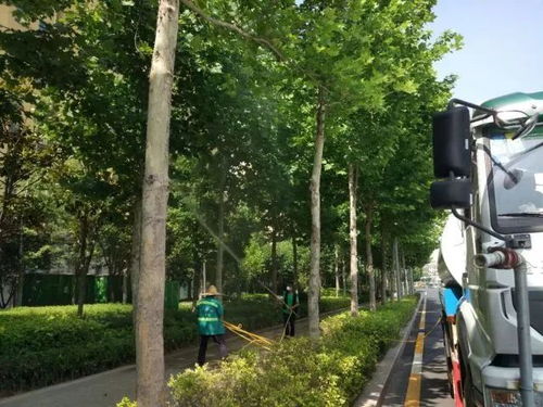 三、 园林养护技术创新对提升景观质量的作用