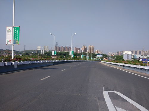 麦冬草：耐阴又耐旱的小家伙