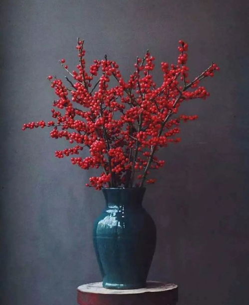 养护小贴士，让花朵梗鲜艳