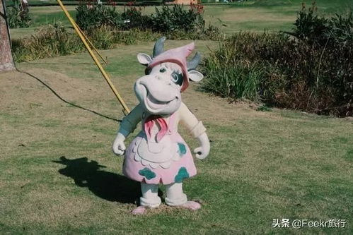 三、插尾巴的小技巧，让你梗上手！