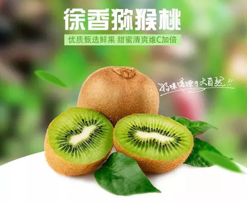 徐香猕猴桃产地大揭秘，四川茂县哪里的最好吃