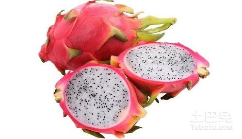 甲维茚虫威：火龙果虫害防治的新希望