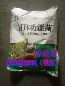 土壤改良：微生物菌剂的绿色力量