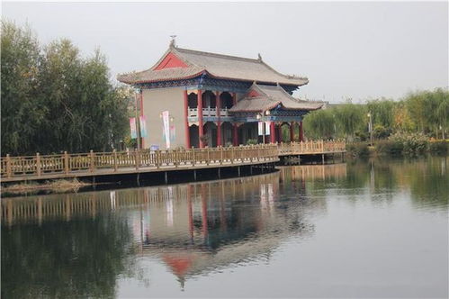 城市绿化品位提升