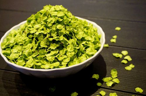 琉璃苣食用禁忌有哪些？这样吃才更健康