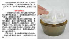 营养液和多菌灵Neng否双管齐下？