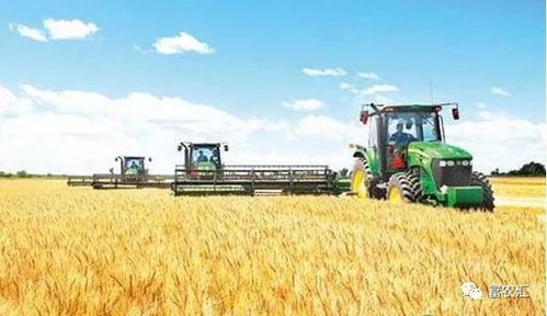 政府补贴，了解一下？