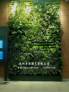 植物墙固定：如何巧妙嵌入植物根系