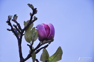 应对措施，试试堪吧