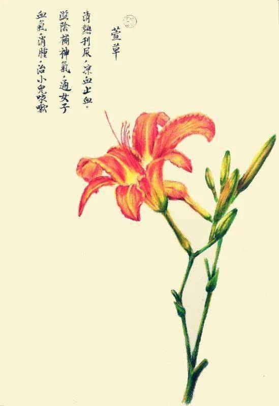 移植的技巧：根系密码