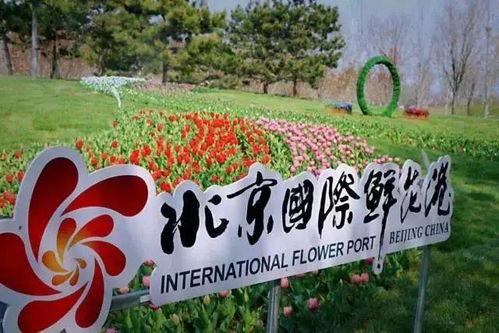 二、新手如何快速打造花园？