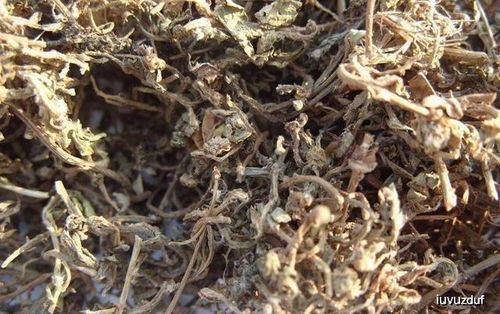 蘑菇渣作为饲料，对家禽的生长发育有促进作用吗？