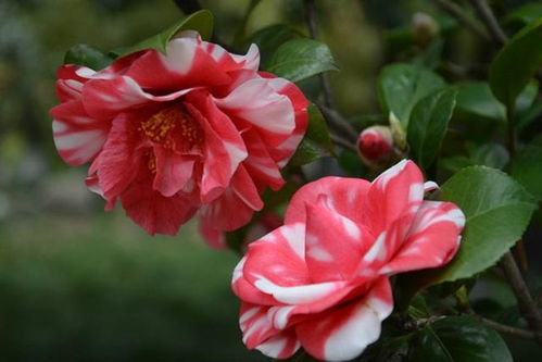 别急，有秘诀！