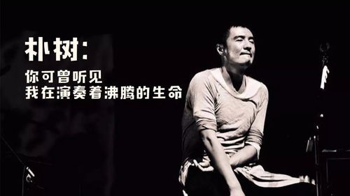 旋律如诗，难以忘怀