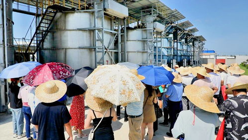 生态养殖机械化创新探索