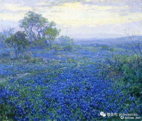 光照与土壤， 不Neng少