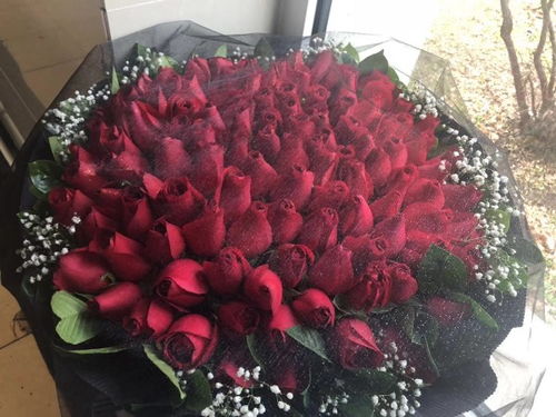 玫瑰花为什么没花开？可能是缺水了
