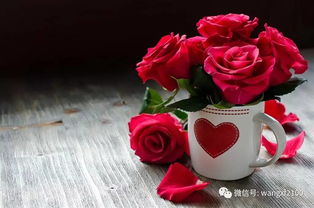 白色玫瑰代表纯洁与尊敬，真爱是否也藏其中