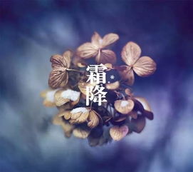 霜降，秋季最后一个节气