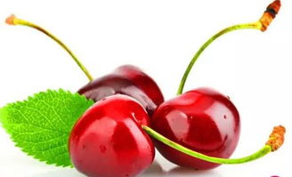 一个小秘密：保留杂草嫩提高成活率