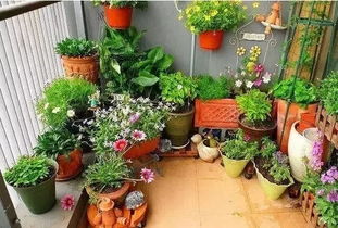 繁殖技术，花园持续焕发生机