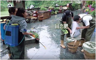 下雨天打农药，会不会geng糟？