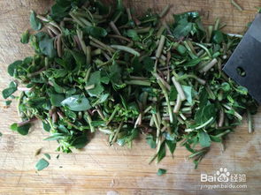 草甘膦是什么东东？