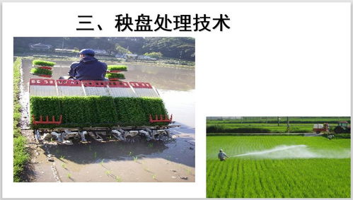 湖南农药生产企业亮相， 绿色农药创新成果集中展示