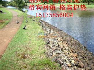 河岸绿化的重要性